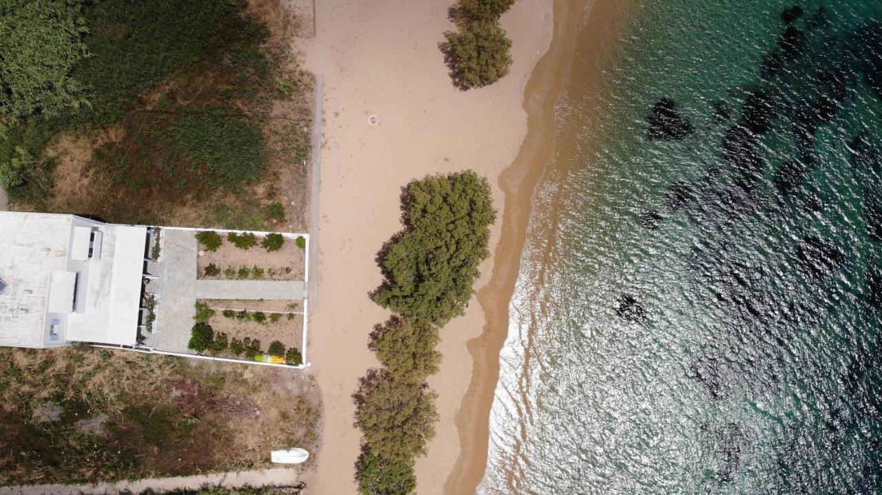 Galazio Seaside Apartments Livadákia Kültér fotó